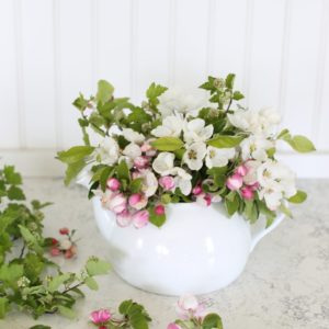How to Make an Apple Blossom Floral Arrangement