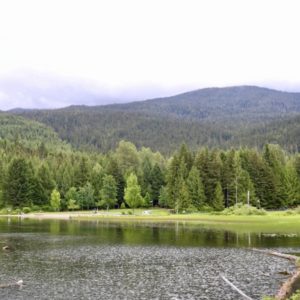 At a Crossroads With Our Children Growing Up