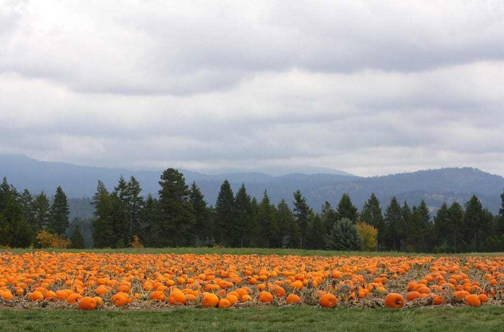 Enjoying Fall at the Thompson’s