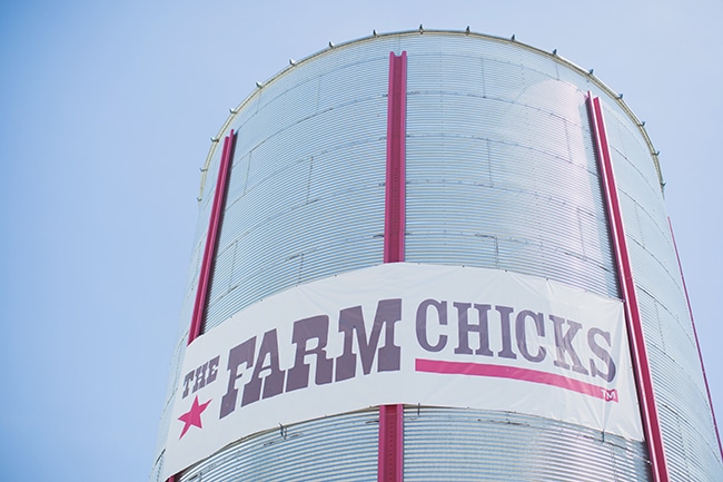 The 2011 Farm Chicks Fair Re-Cap