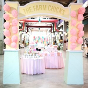 A Re-Cap of The Farm Chicks Fair 2016