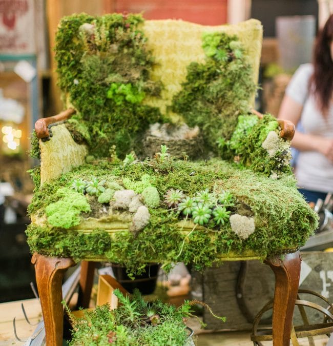 Images From The Farm Chicks Fair 2017