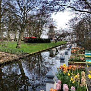 Visiting Keukenhof Gardens on a Viking River Cruise