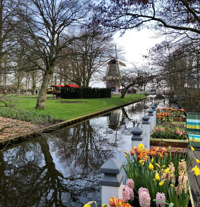 Visiting Keukenhof Gardens on a Viking River Cruise