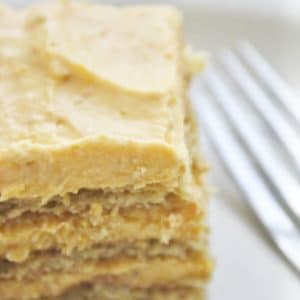 No Bake Pumpkin Cheesecake