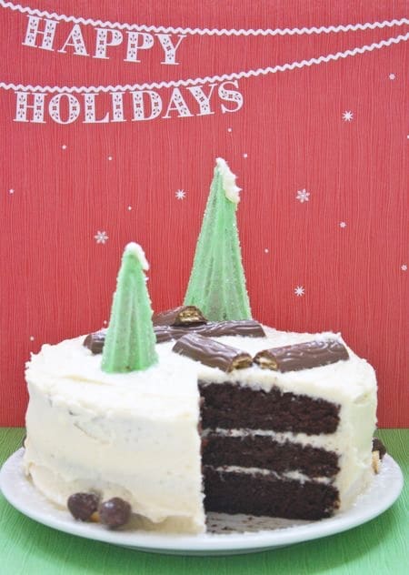 Christmas Tree Wilderness Cake