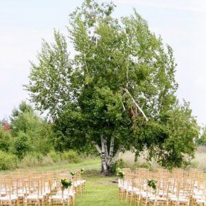 Farm Meets Woodland Wedding