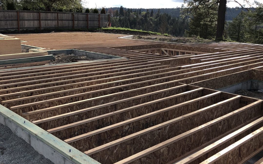 House Progress Update – Framing