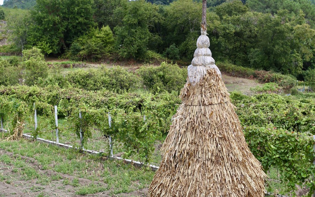 Soajo & Geres National Park, Portugal Day 6