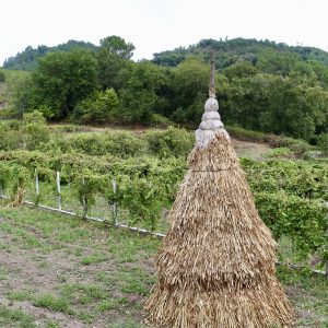 Soajo & Geres National Park, Portugal Day 6