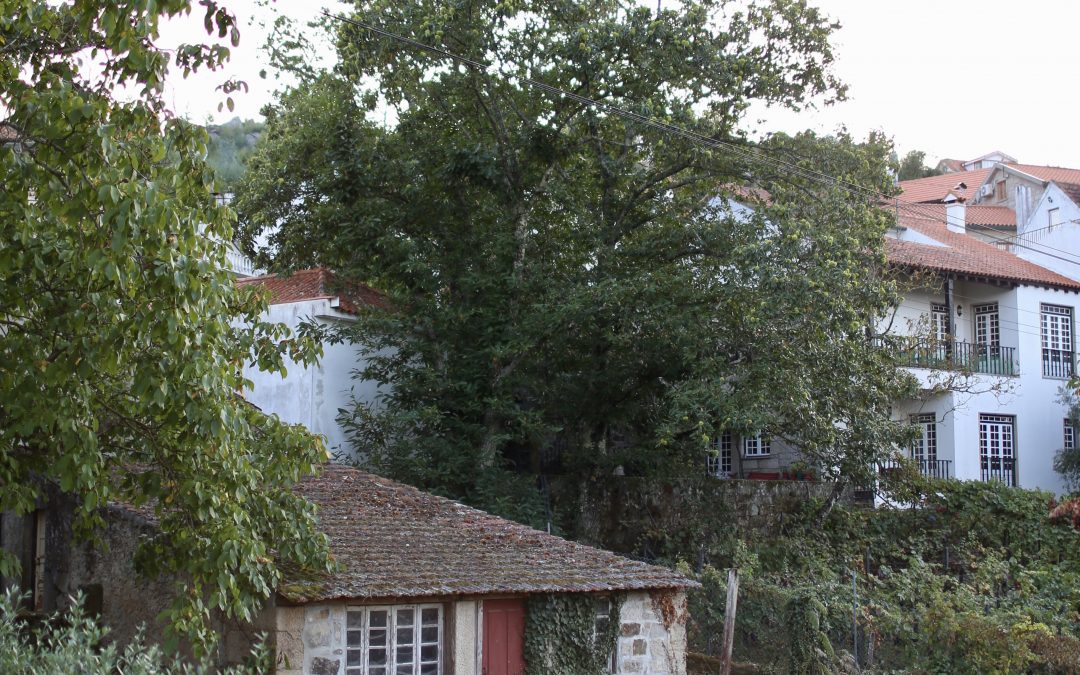 Douro Valley & Aldeia das Dez, Portugal Day 7